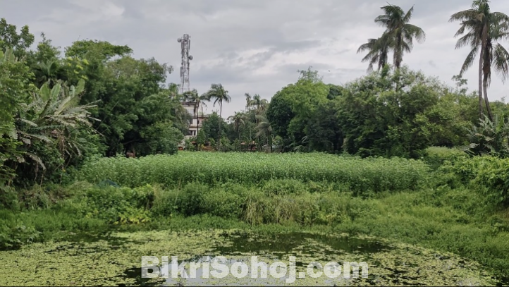 ঢাকা-আরিচা মহাসড়কের সন্নিকটে নির্ভেজাল জমি বিক্রয়